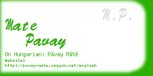 mate pavay business card